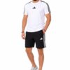 Ensemble Short